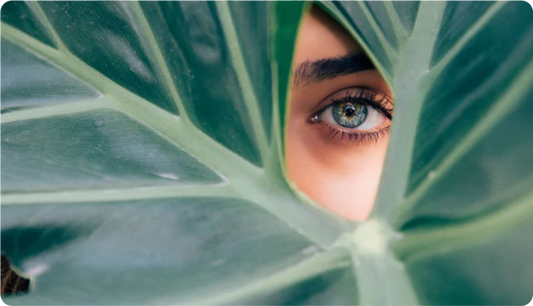 Summer Skin Secrets Unveiled: Uncork the Power of Red Wine Soap