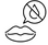 Icon 1